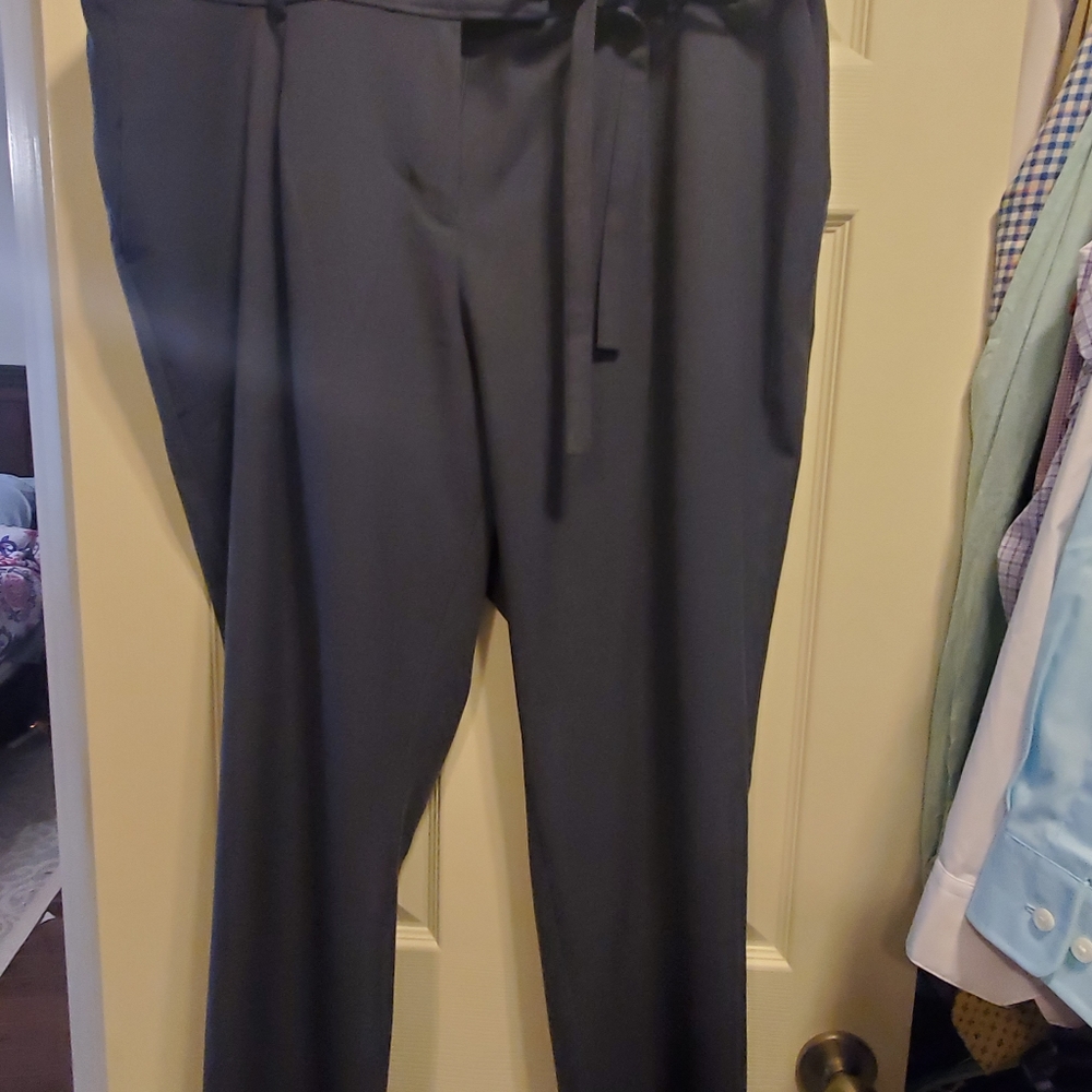 BNWT Loft Plus Pants
